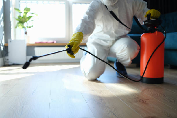 Reliable Hoarding Cleanup contractor in Lewiston, CA by Trauma Clean Pros